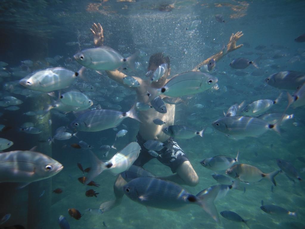 Mio Bianco Resort All Inclusive อัคยาร์ลาร์ ห้อง รูปภาพ